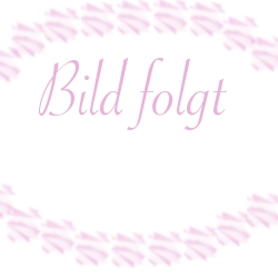 bildfolgt