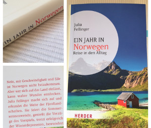 einjahrinnorwegen_fellinger